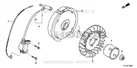 VOLANT / BOBINE D'ALLUMAGE pour Honda WL30XH